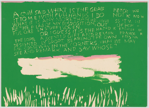 a child said what is the grass #1 or #2